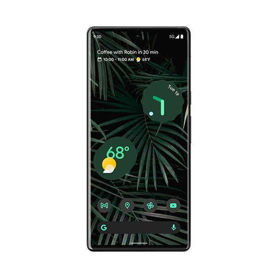 0157507_google-pixel-6-pro-5g-12128gb-stormy-black_550